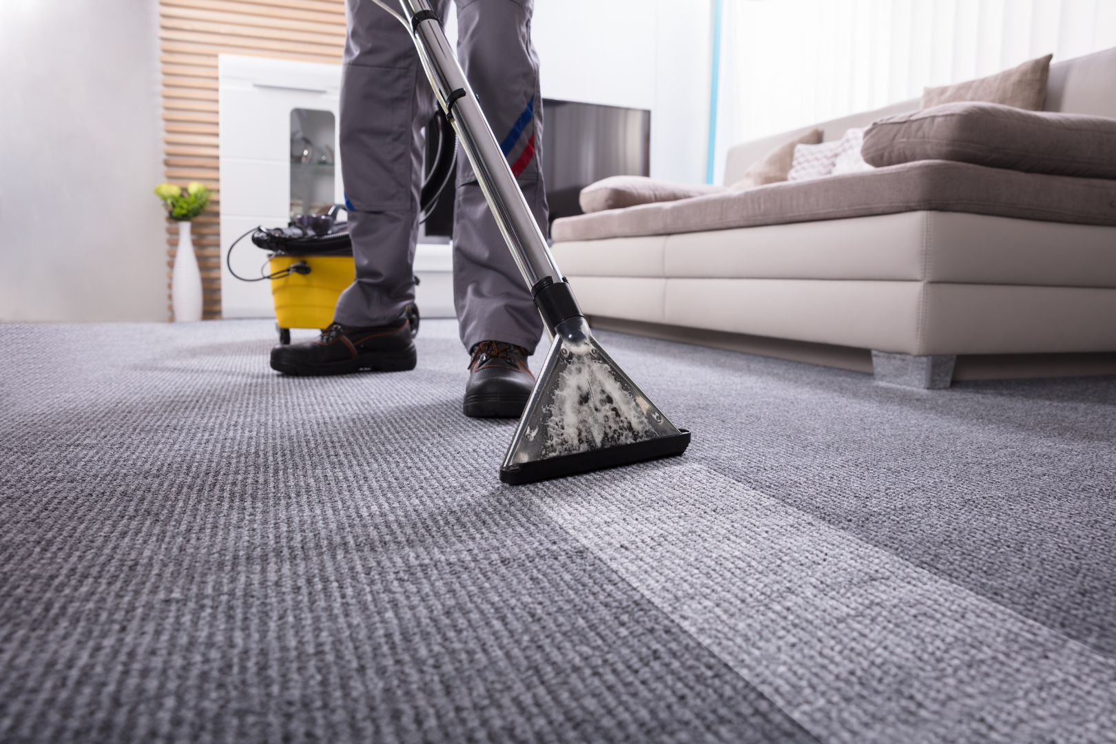 carpet being cleaned professionally