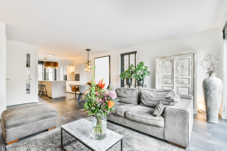 clean living room with nice plants