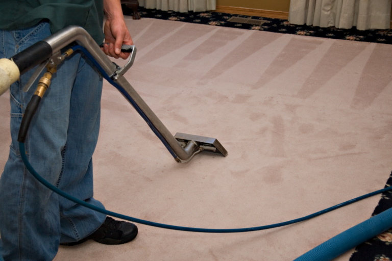 professional carpet cleaning