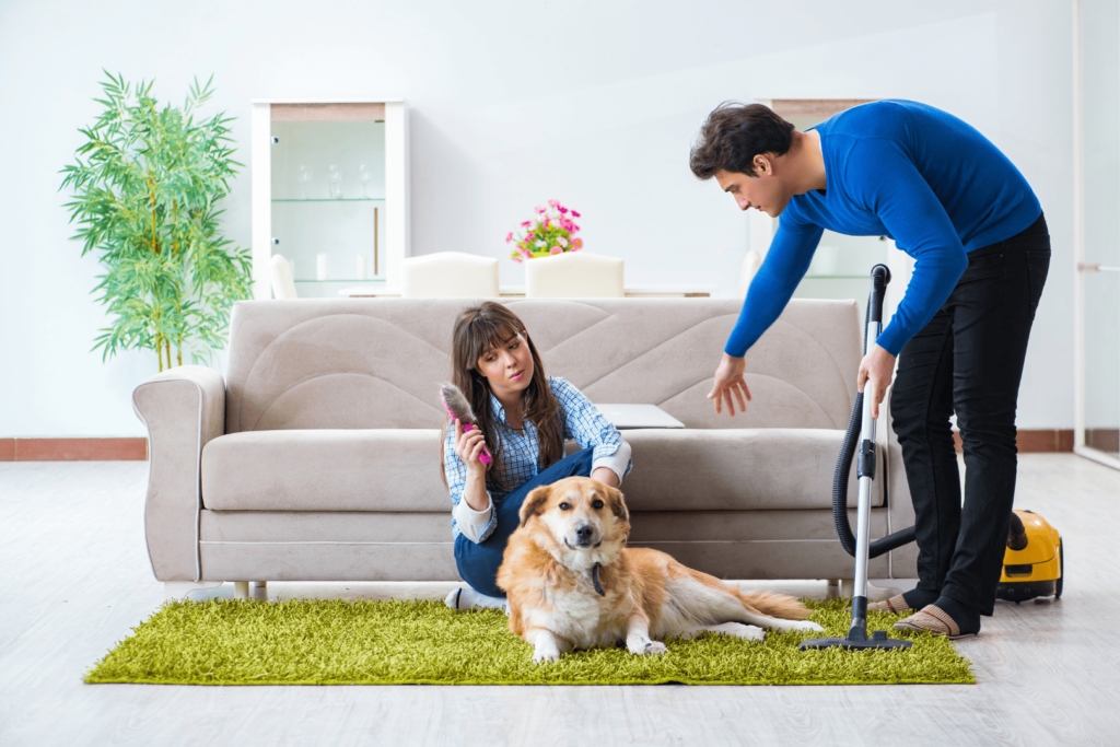 Owners grooming and cleaning dog hair in between cleaning maid visits