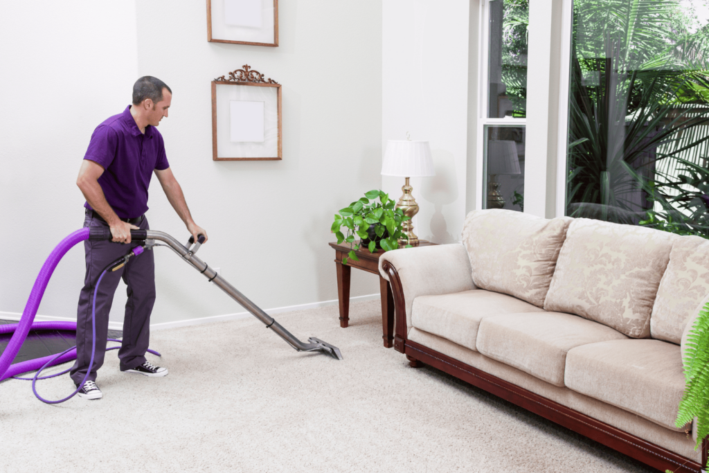 Steam cleaning and carpet cleaning services