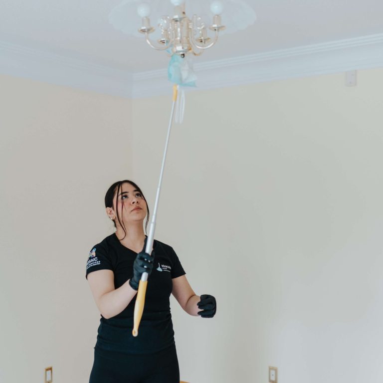House Cleaning Services Miraculous Maids (4)